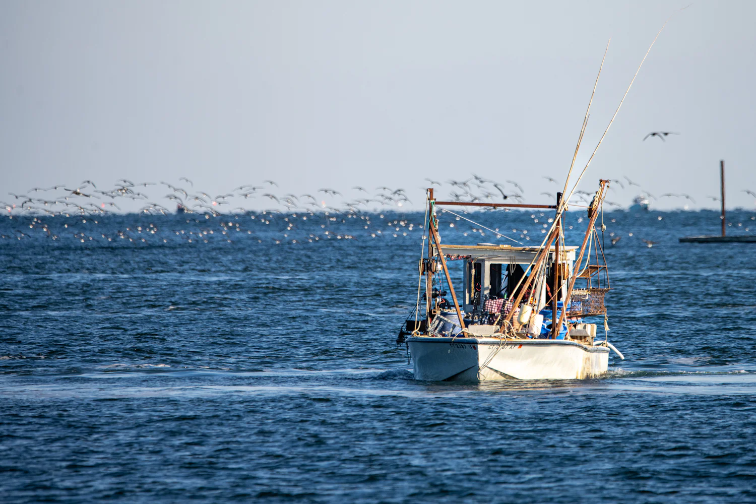 A small fishing boat followed by gulls across open water